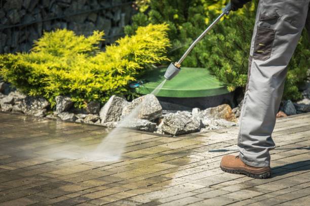 Best Fence Cleaning  in Thruston, KY